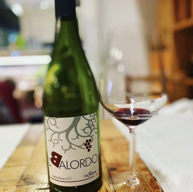 Cantina del Colonna - Degustazione 4 Vini Umbria Cantina del Colonna