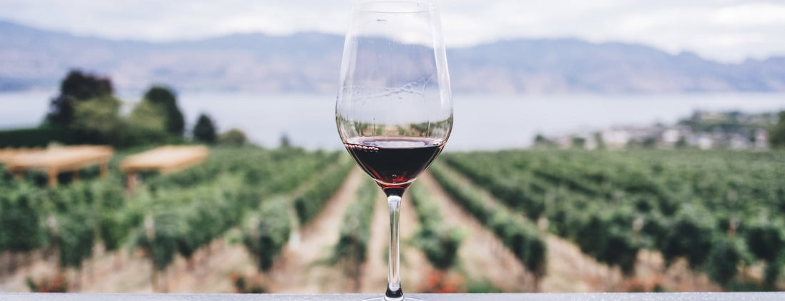 Casale Mattia - Degustazione 2 vini Lazio Casale Mattia