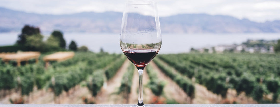 Casale Mattia - Pic nic nel vigneto Lazio Casale Mattia