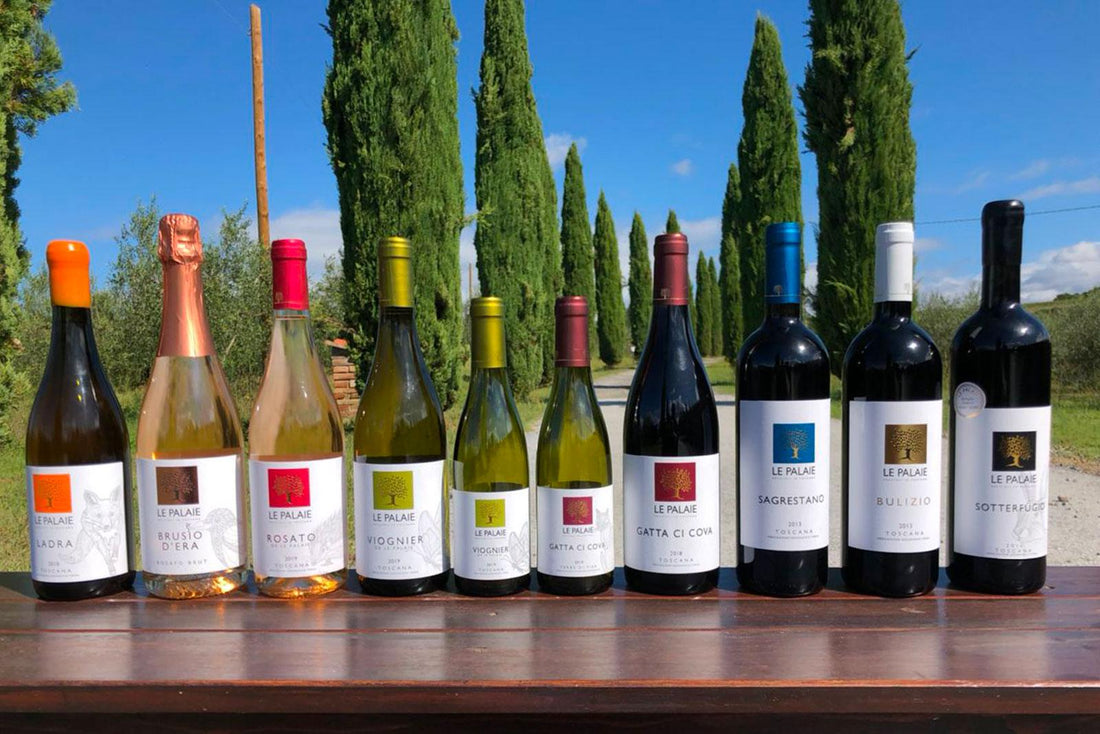 Le Palaie - Degustazione Toscana Le Palaie