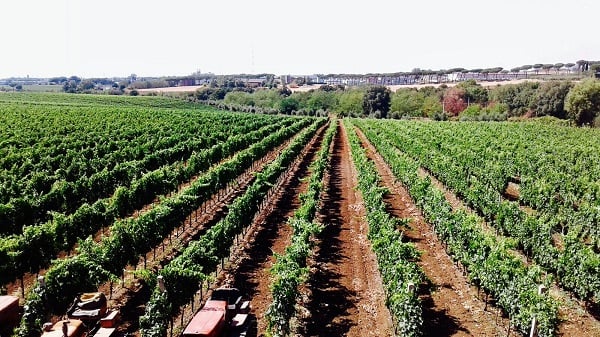 Gaffino - Percorso selezione Lazio Gaffino