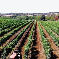 Gaffino - Percorso selezione Lazio Gaffino