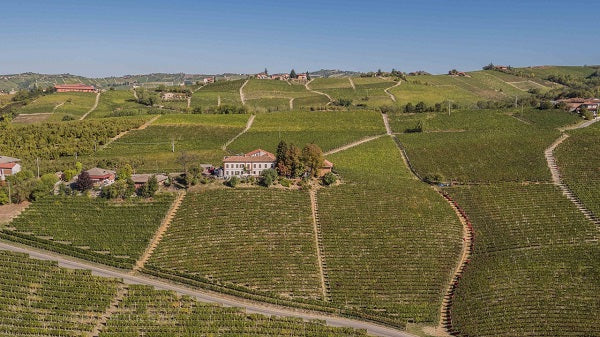 Massimo Rivetti - Degustazione 3 vini Piemonte Massimo Rivetti