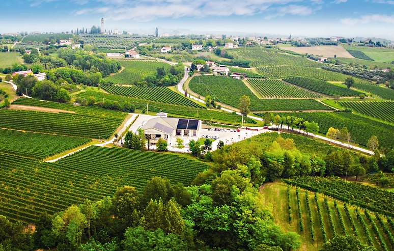 Soggiorno & Degustazione in Wine Resort - Veneto Veneto Veneto