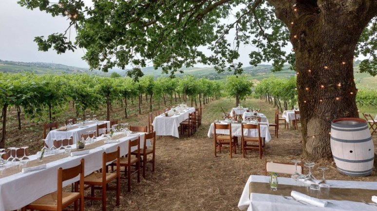 Calatroni wines - escursione in bici, pic nic e degustazione Lombardia Calatroni wines