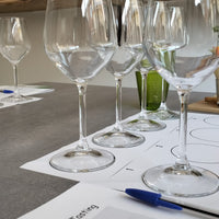 Degustazione vini rossi a Verona Verona