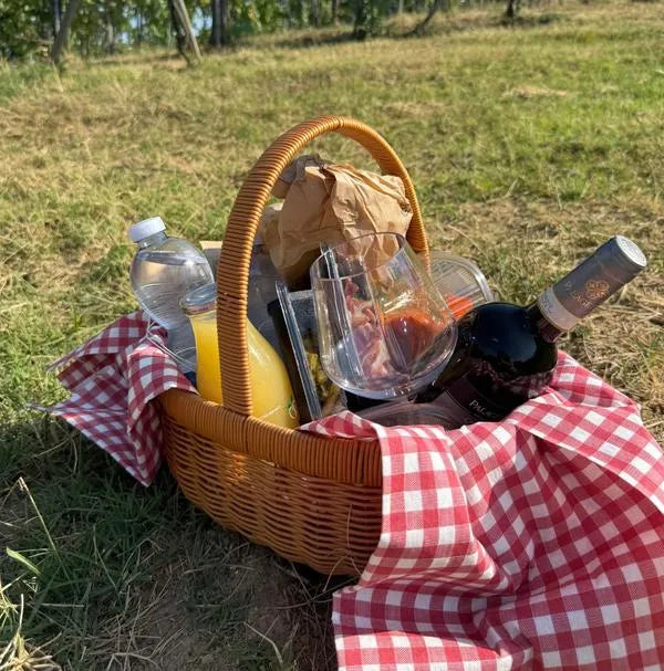 Il Palagetto - Picnic in vigna Toscana Az.agr Palagetto