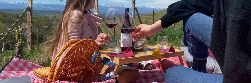 Dosio Vigneti - Picnic in vigna Piemonte Dosio Vigneti