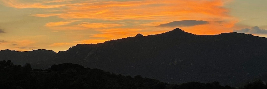 Colline del vento - Passeggiata tra i filari con aperitivo Sardegna Colline del vento