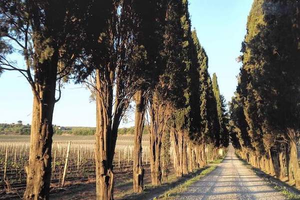 Tenuta di Pietra Porzia - Soggiorno, Degustazione e Massaggio Lazio Tenuta di Pietra Porzia