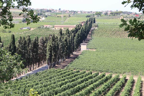 Tenuta di Pietra Porzia - Soggiorno, Degustazione e Massaggio Lazio Tenuta di Pietra Porzia