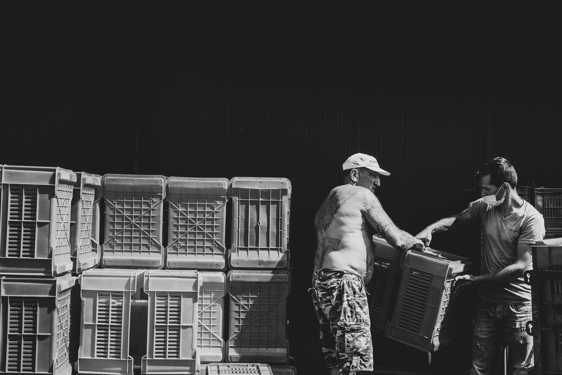 Cantina Bel Colle - Cru di Langa Piemonte Cantina Bel Colle