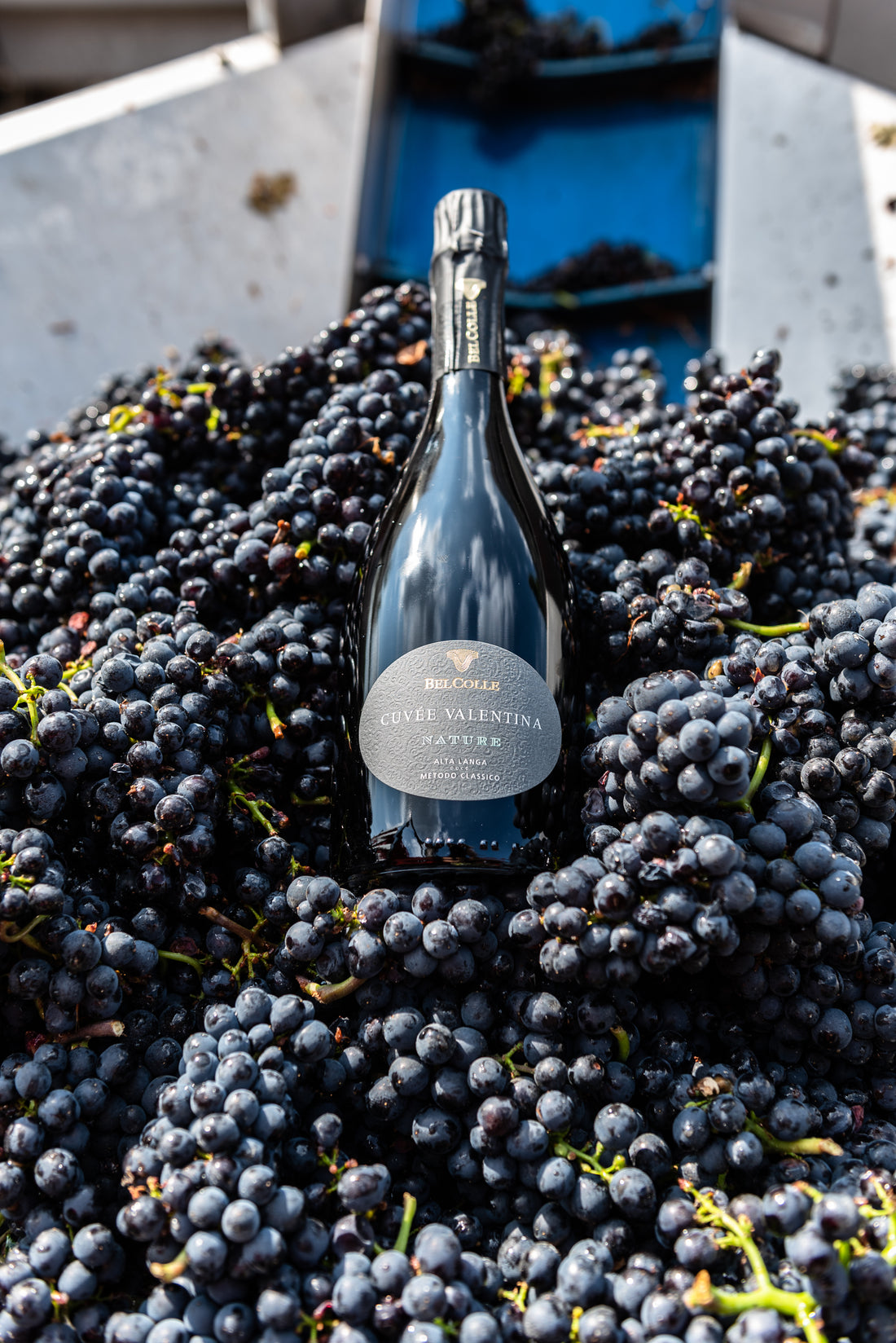 Cantina Bel Colle - Cru di Langa Piemonte Cantina Bel Colle