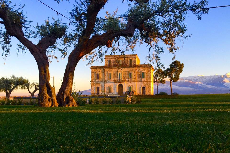 Podere Castorani - Pranzo in cantina Abruzzo Podere Castorani