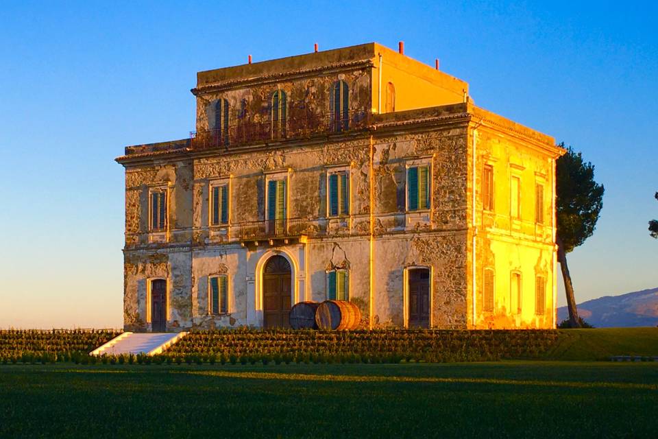 Podere Castorani - Pranzo in cantina Abruzzo Podere Castorani