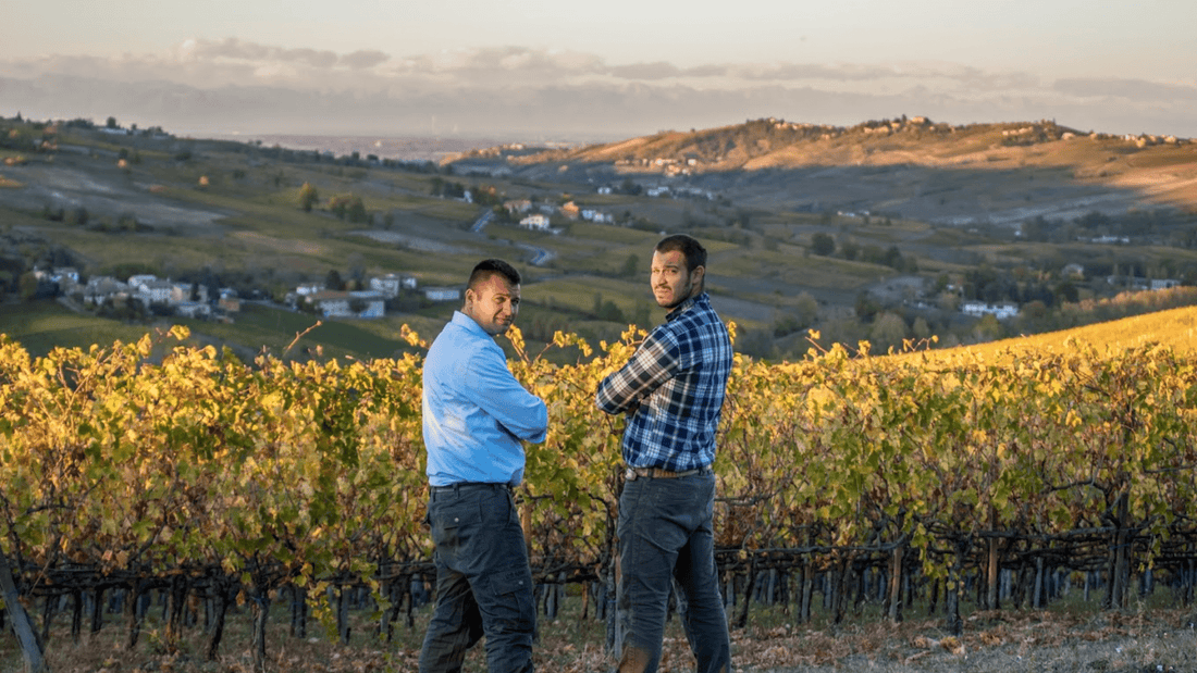 Calatroni wines - Degustazione 4 vini Lombardia Calatroni wines