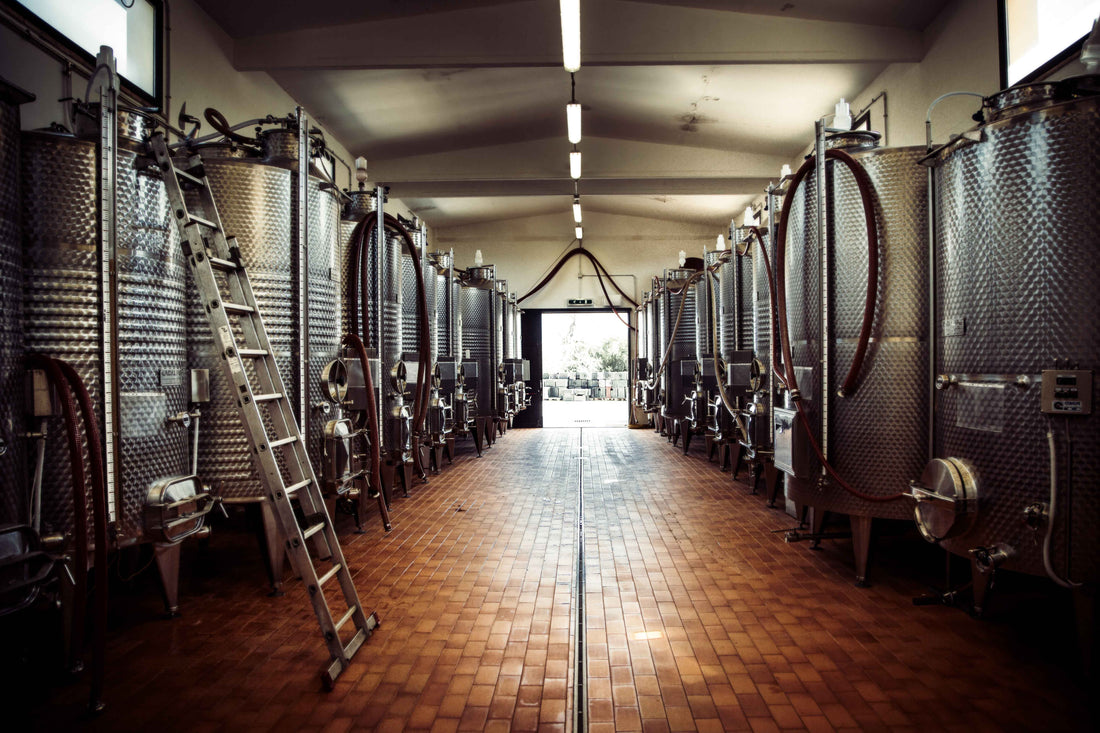 Tenuta Il Ponte - Degustazione 5 calici Toscana Tenuta Il Ponte