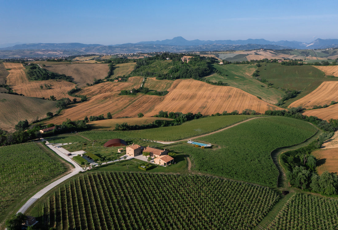 Filodivino Wine Resort - Cena in Veranda Marche Filodivino Wine Resort