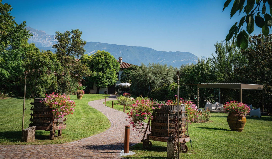 Letrari - Degustazione 6 vini "Mondo Letrari" Trentino Alto Adige Letrari