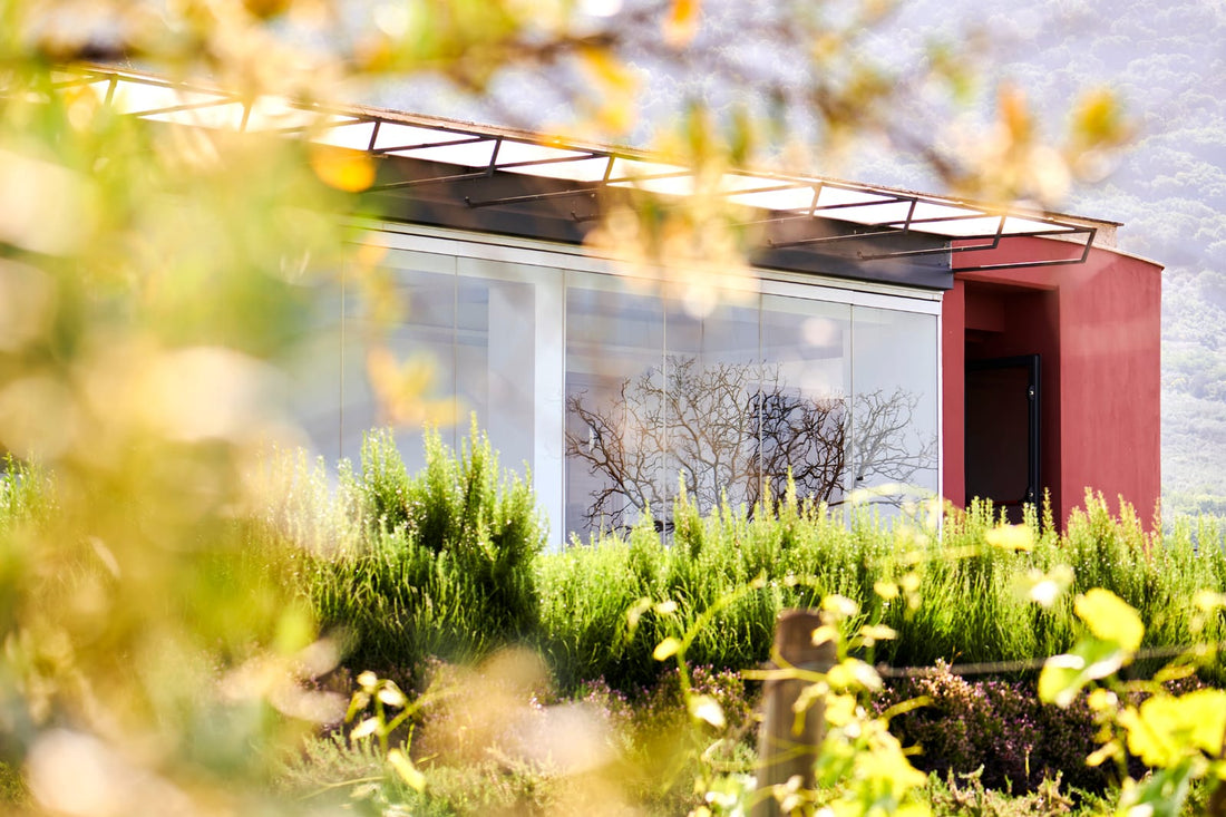 Pileum - Menù Degustazione Pranzo/ Cena Lazio Pileum
