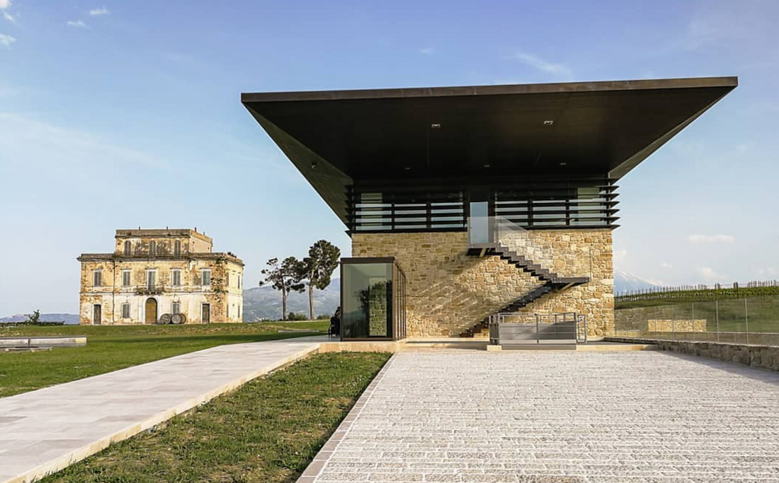 Podere Castorani - Pranzo in cantina Abruzzo Podere Castorani