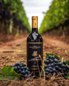 Fattoria Svetoni - Exclusive light lunch