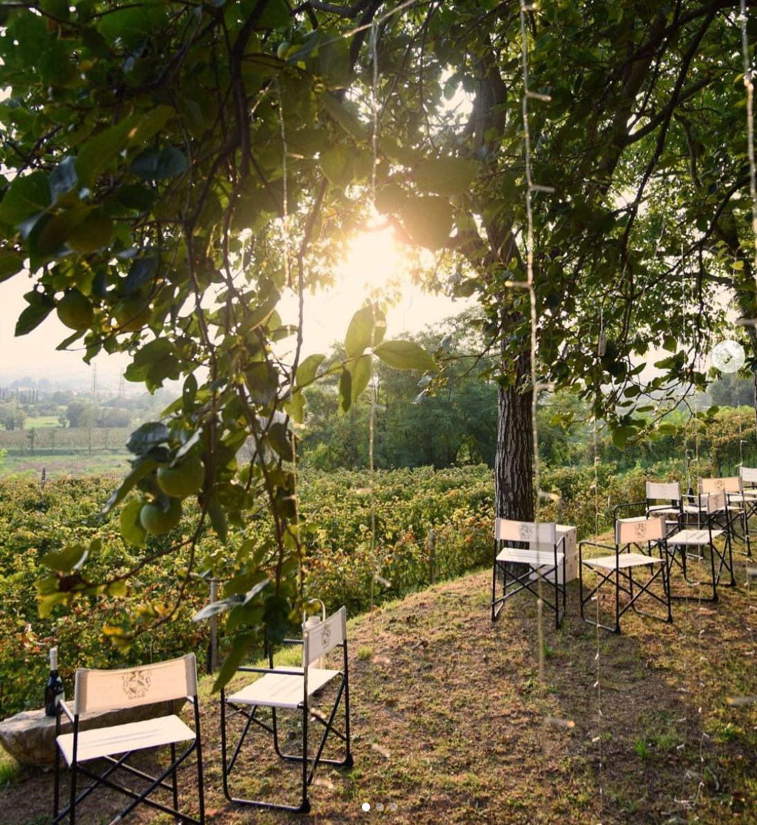 Villa Franciacorta - Pranzo in Villa Lombardia Villa Franciacorta