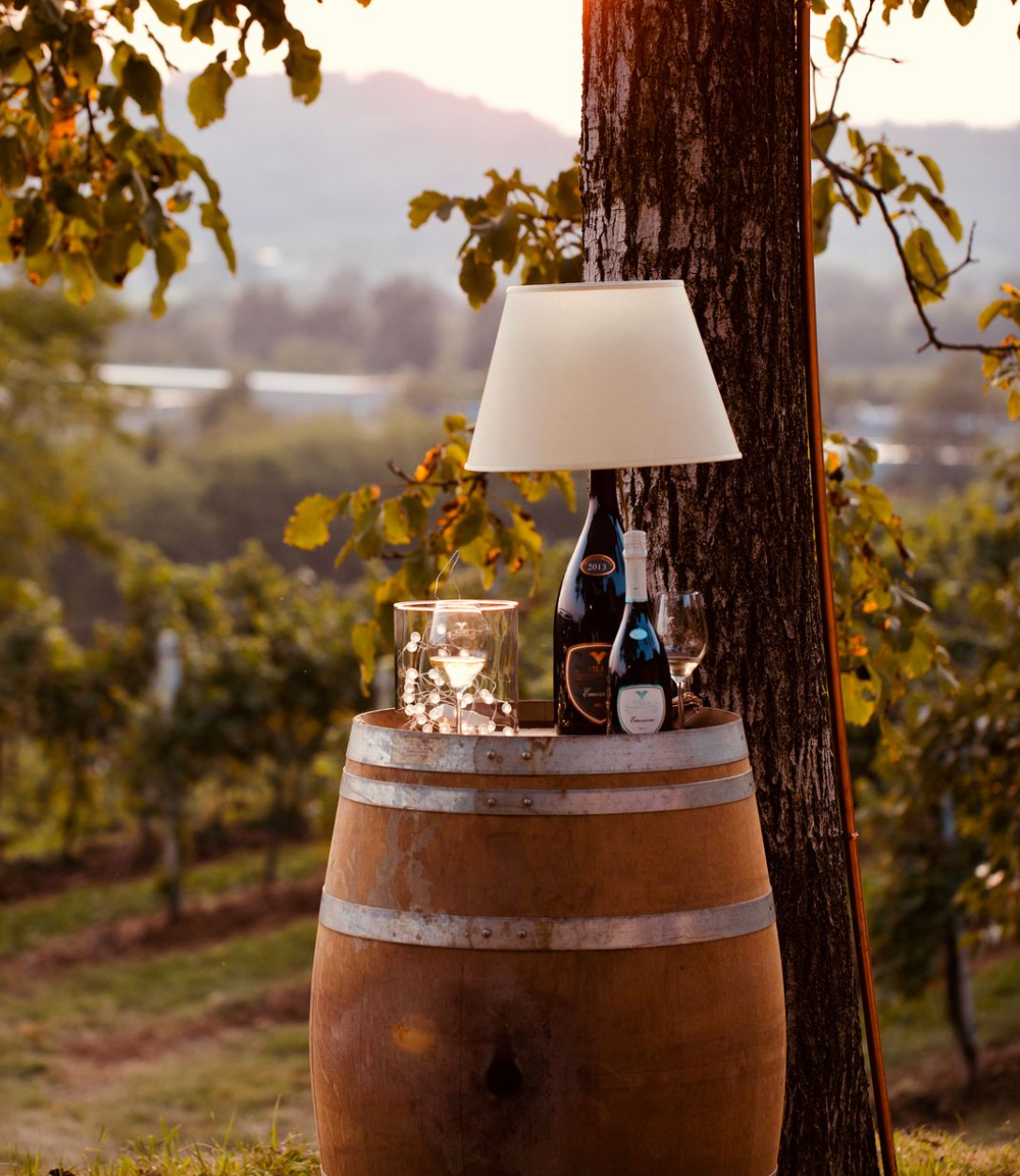 Villa Franciacorta - Pranzo in Villa Lombardia Villa Franciacorta