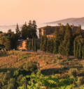 Castelvecchi - El privilegio del enólogo