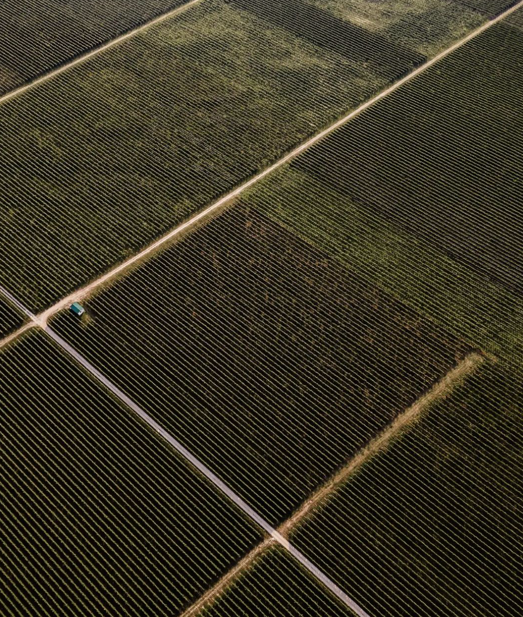 GYG Casa Paladin - Classica Veneto Casa Paladin