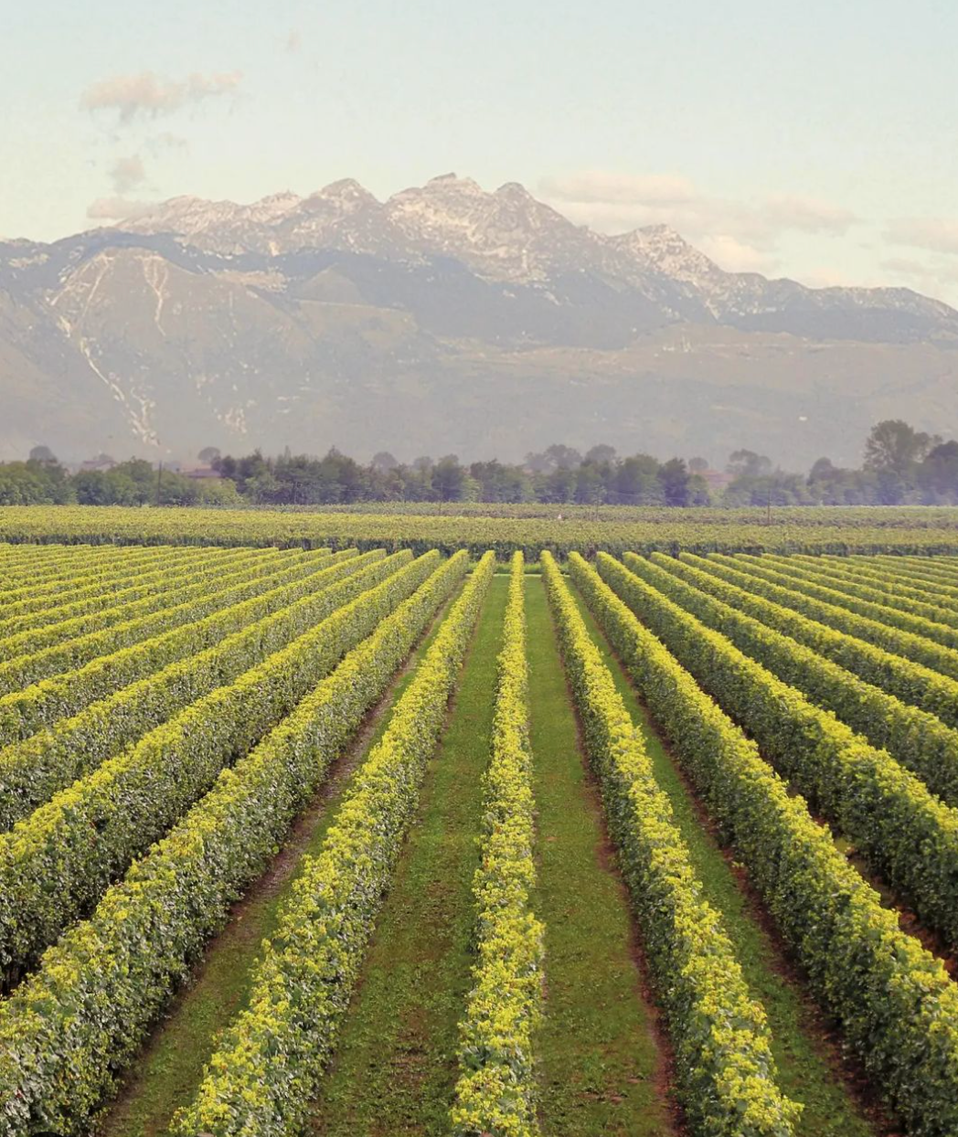 GYG Casa Paladin - Classica Veneto Casa Paladin