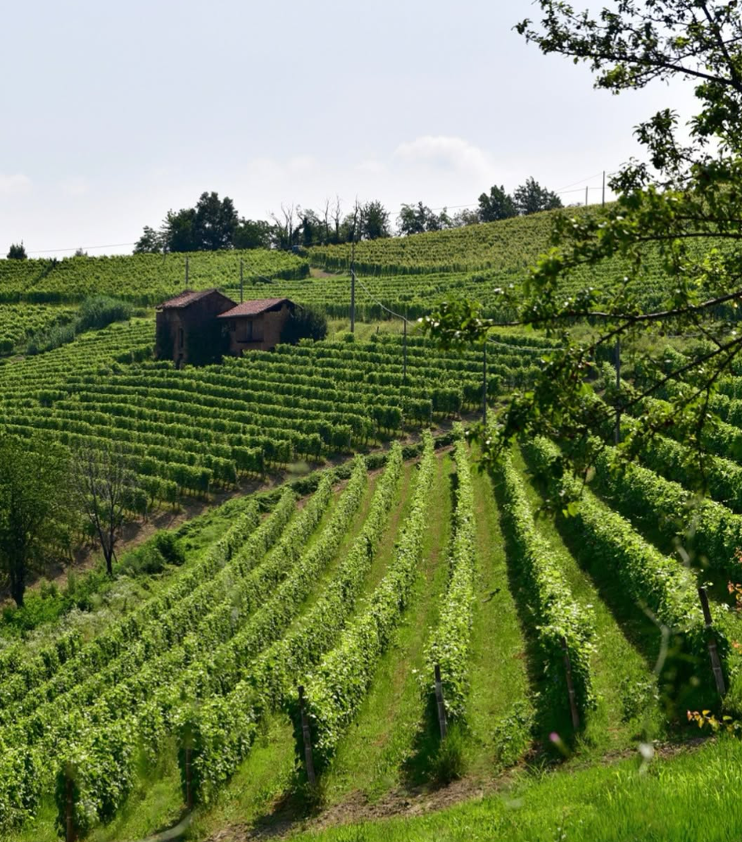 Castello di Perno - Soggiorno & Light Lunch Piemonte Castello di Perno