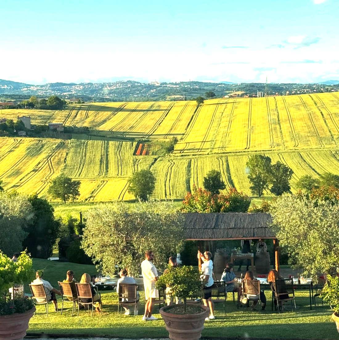 Favorita Wine Resort - Experience and Taste Umbria