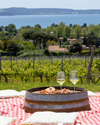 Cantine Capitani - Tour and tasting 4 wines