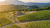 Feudi di San Gregorio - Picnic en el sótano