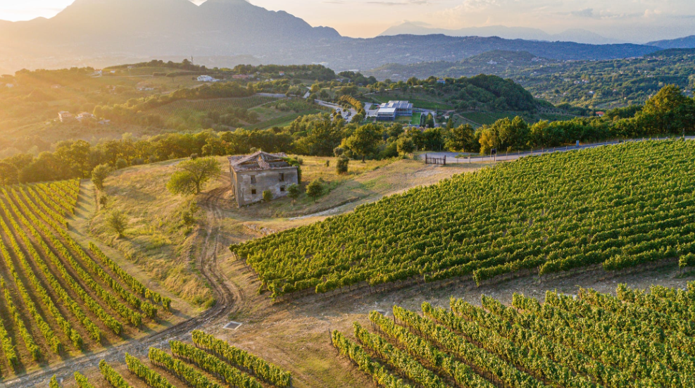 Borgo San Gregorio Experience - Soggiorno All Inclusive Campania Feudi di San Gregorio