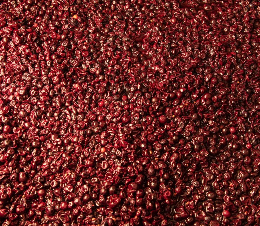 Il Quinto - Quinto Tasting Toscana Il Quinto