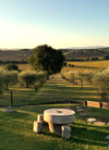 Favorita Wine Resort - Experience and Taste Umbria