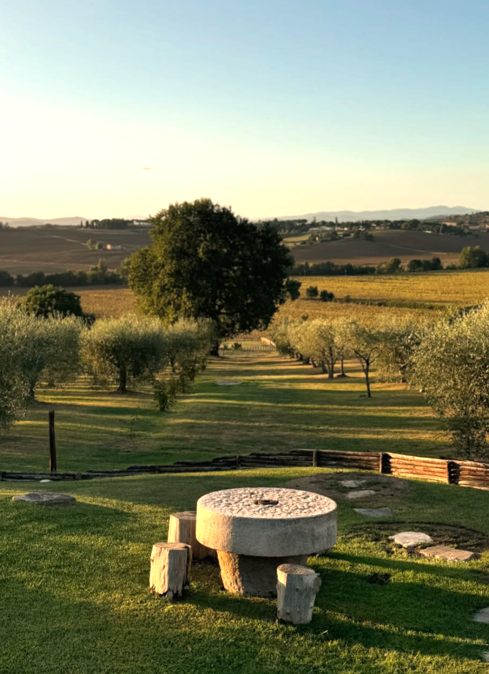 Favorita Wine Resort - Experience and Taste Umbria