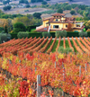 I Cacciagalli - Stay & Tasting