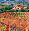 I Cacciagalli - Stay & Tasting