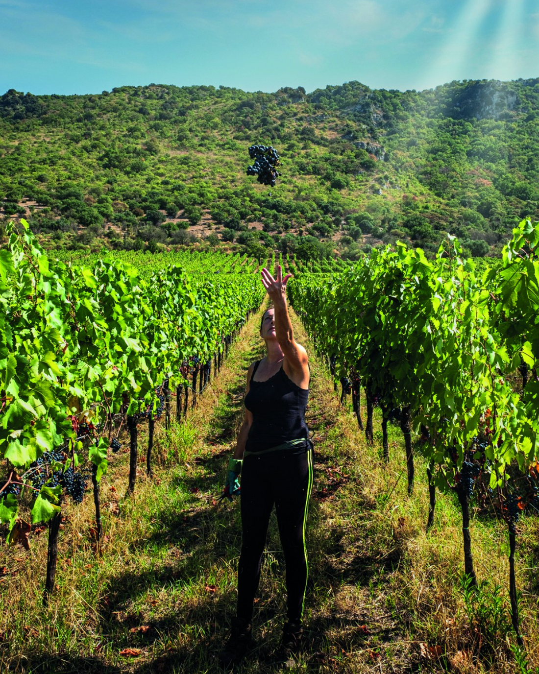 Marco carpineti - Degustazione di 4 Etichette Marco Carpineti Lazio Marco Carpineti