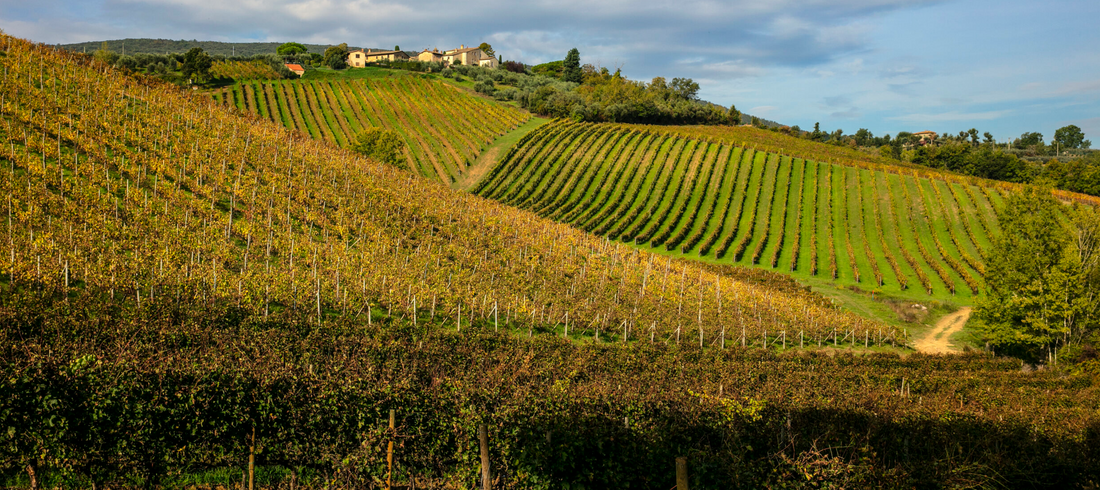Il Palagetto - Light Lunch “Tosca” Toscana Az.agr Palagetto