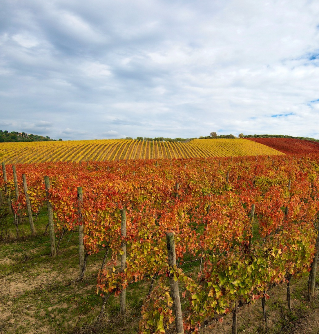 I Cacciagalli - Stay &amp; Tasting