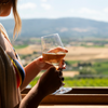 Saragano Estate - Wine Tasting