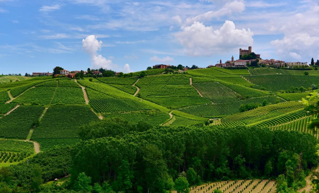 Castello di Perno - Soggiorno & Light Lunch Piemonte Castello di Perno