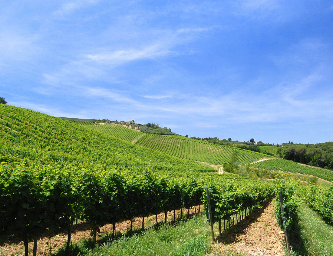 Il Palagetto - Soggiorno Premium & Degustazione Toscana Az.agr Palagetto