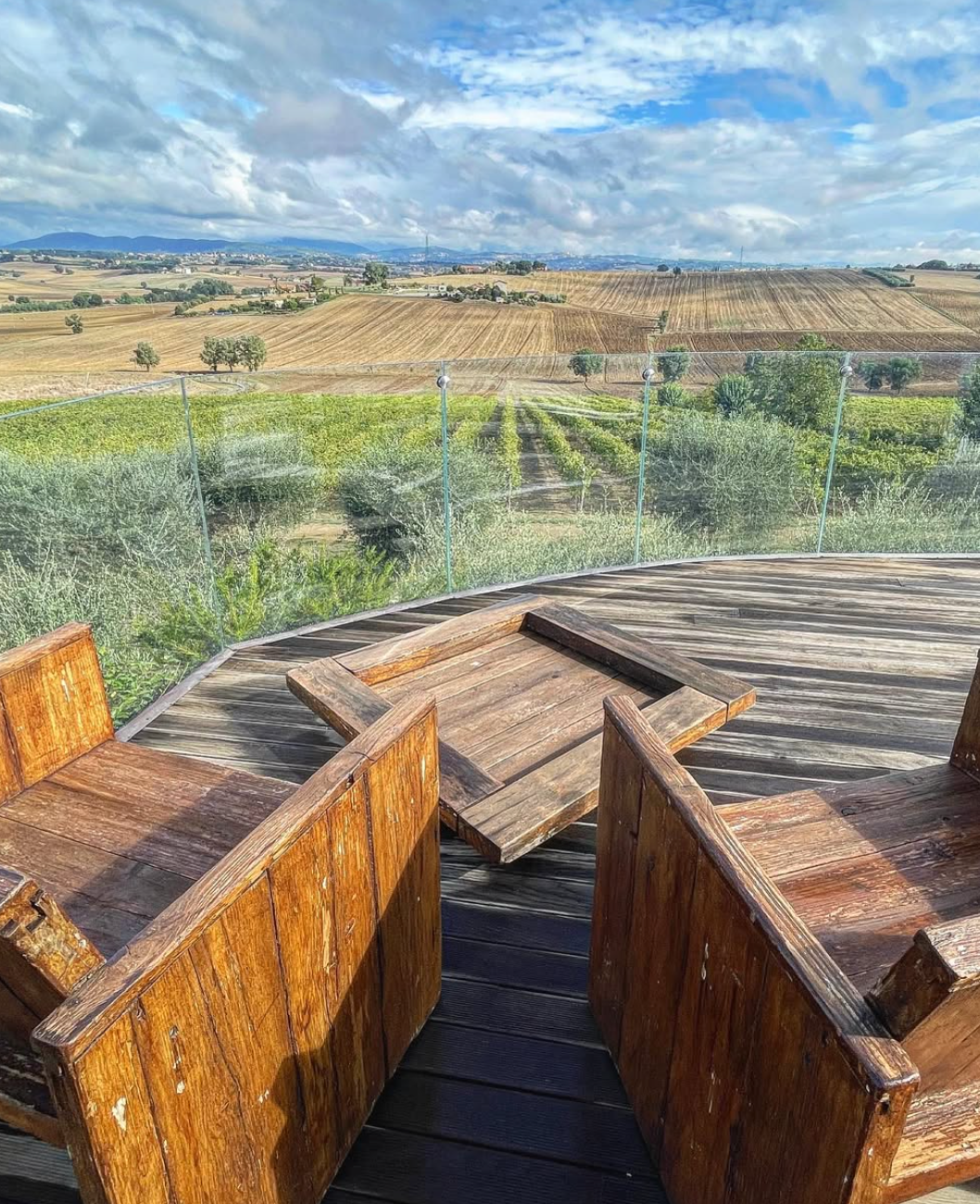 Favorita Wine Resort - Experience and Taste Umbria