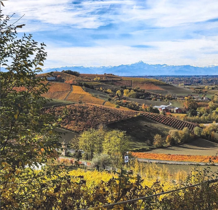 Poderi Luigi Einaudi - Degustazione "IL BAROLO, NEL TEMPO" Piemonte Poderi Luigi Einaudi