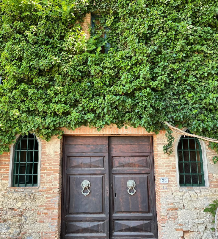 Badia di Morrona - Visita all&